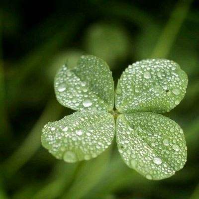 大发彩票app下载手机版